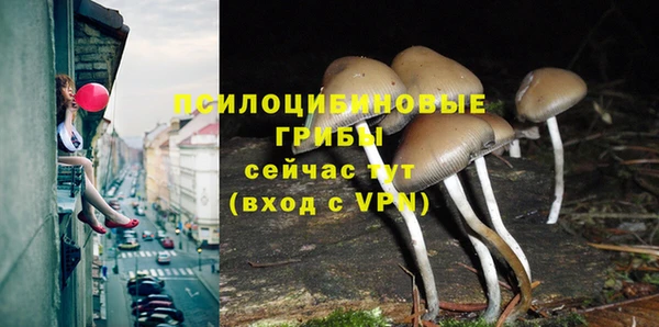 гидра Балахна