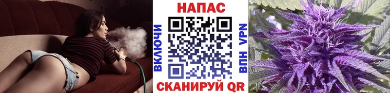 Конопля White Widow Пересвет